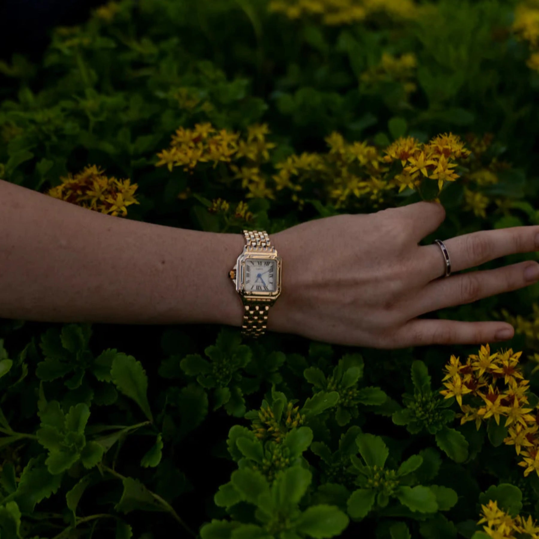 Calista Vale Watch
